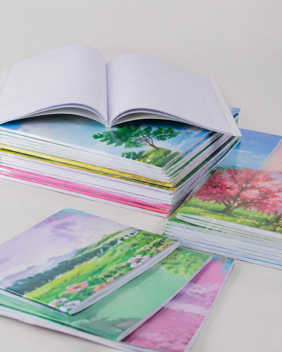 School Exercise Books